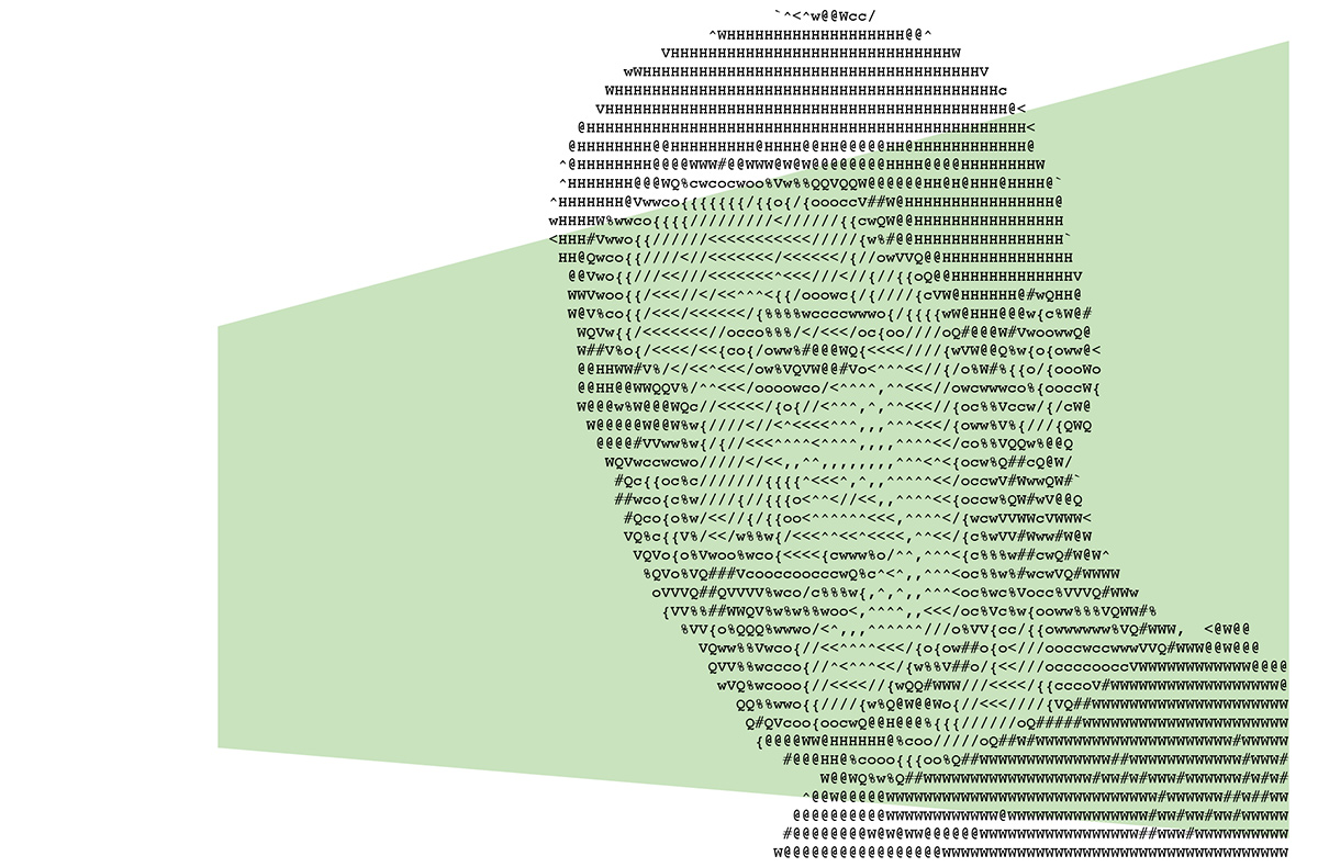 ASCII illustration of a face